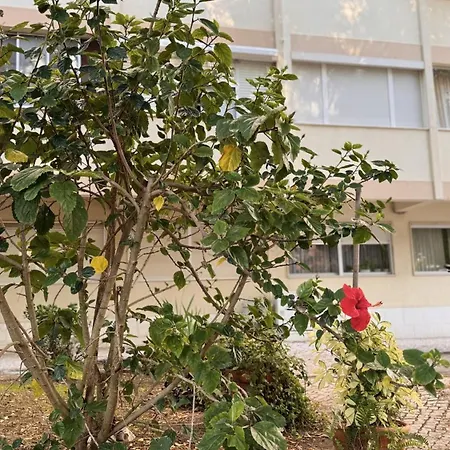 Apartmán 3 S Joao Caparica Costa de Caparica