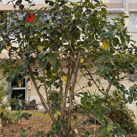 3 S Joao Caparica Apartment