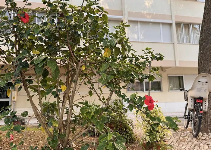 Apartmán 3 S Joao Caparica Costa de Caparica