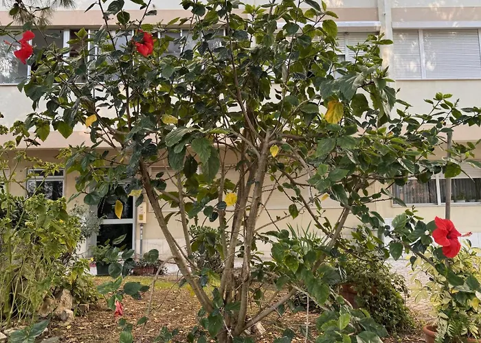 3 S Joao Caparica Apartmán